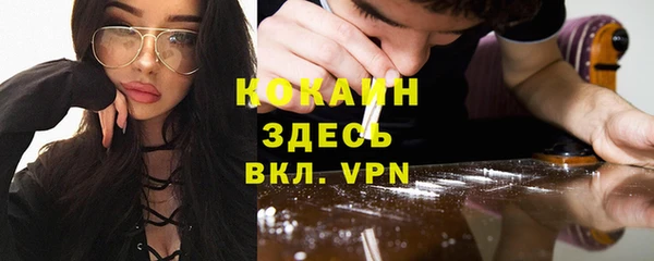 прущие грибы Абинск