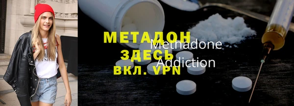 прущие грибы Абинск