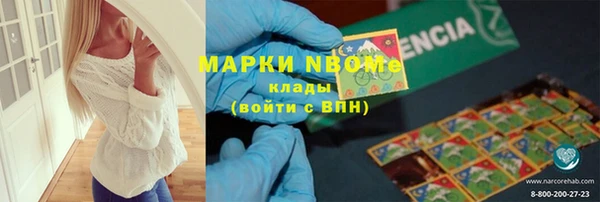 прущие грибы Абинск