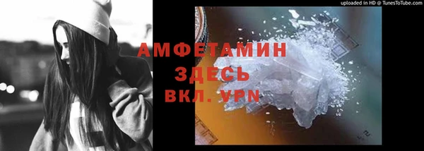 прущие грибы Абинск