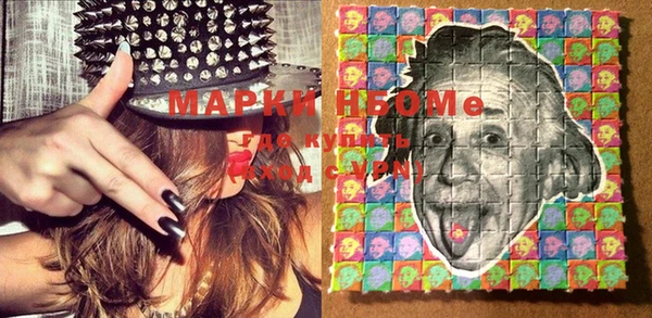 прущие грибы Абинск