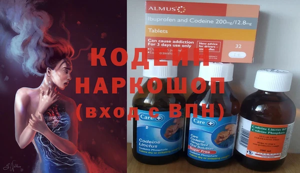 прущие грибы Абинск