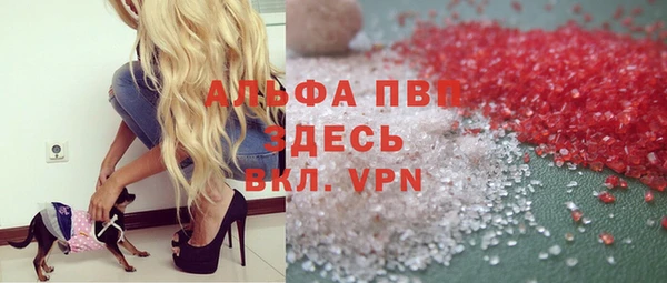прущие грибы Абинск