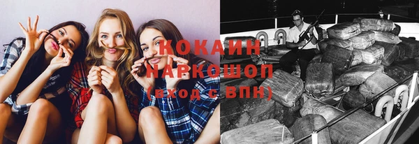 прущие грибы Абинск