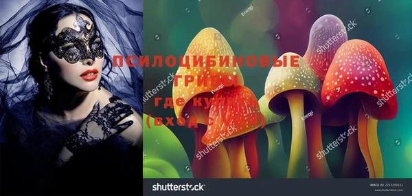 Альфа ПВП Абаза